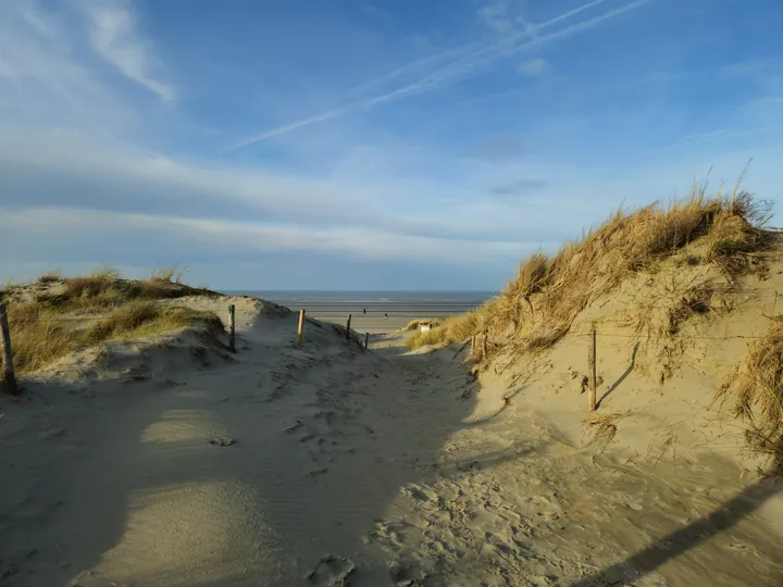 Oostnieuwkerke duinen wandeling in de koude (België)